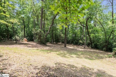 Listing Presented by Dina Elm Berkshire Hathaway C. Dan Joyner on The Cliffs Valley Golf Course in South Carolina - for sale on GolfHomes.com, golf home, golf lot