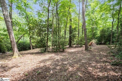 Listing Presented by Dina Elm Berkshire Hathaway C. Dan Joyner on The Cliffs Valley Golf Course in South Carolina - for sale on GolfHomes.com, golf home, golf lot