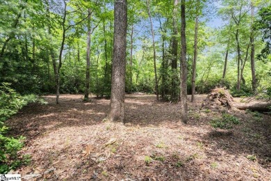 Listing Presented by Dina Elm Berkshire Hathaway C. Dan Joyner on The Cliffs Valley Golf Course in South Carolina - for sale on GolfHomes.com, golf home, golf lot