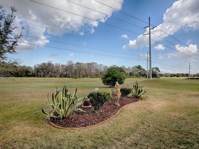 EXPECTED THE UNEXPECTED! 3/2 HOME PLUS OVERSIZED BONUS ROOM on Pennbrooke Fairways in Florida - for sale on GolfHomes.com, golf home, golf lot