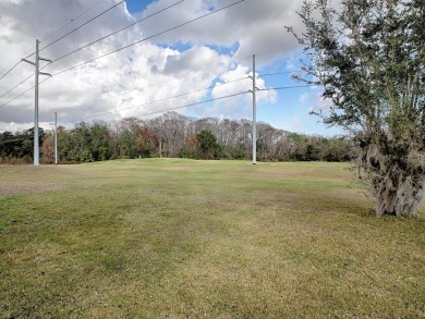 EXPECTED THE UNEXPECTED! 3/2 HOME PLUS OVERSIZED BONUS ROOM on Pennbrooke Fairways in Florida - for sale on GolfHomes.com, golf home, golf lot