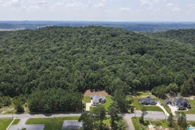 This pristine home at McClellan is LIKE NEW! Built in 2022, this on Cane Creek Golf Course in Alabama - for sale on GolfHomes.com, golf home, golf lot