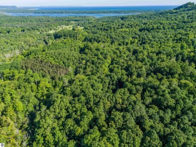 Tucked into the heart of Leelanau County, this beautifully treed on Manitou Passage Golf Club in Michigan - for sale on GolfHomes.com, golf home, golf lot