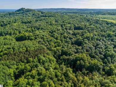 Tucked into the heart of Leelanau County, this beautifully treed on Manitou Passage Golf Club in Michigan - for sale on GolfHomes.com, golf home, golf lot