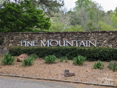 Discover your dream estate on two adjacent lots in Pine Mountain on Pine Mountain Golf Course in North Carolina - for sale on GolfHomes.com, golf home, golf lot