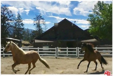 COMMERCIAL LOT: THE SELLER MAY CONSIDER CARRYING PAPER. This is on Pine Mountain Club in California - for sale on GolfHomes.com, golf home, golf lot