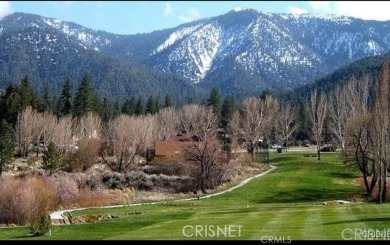 COMMERCIAL LOT: THE SELLER MAY CONSIDER CARRYING PAPER. This is on Pine Mountain Club in California - for sale on GolfHomes.com, golf home, golf lot