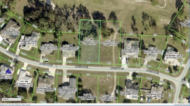 Build a brand new home on this 0.50 acre. Please verify the on Oak Hills Country Club in Florida - for sale on GolfHomes.com, golf home, golf lot