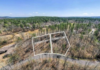 Premier golf course location on Ponce De Leon course with on Ponce De Leon Golf Course in Arkansas - for sale on GolfHomes.com, golf home, golf lot