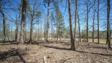 Premier golf course location on Ponce De Leon course with on Ponce De Leon Golf Course in Arkansas - for sale on GolfHomes.com, golf home, golf lot