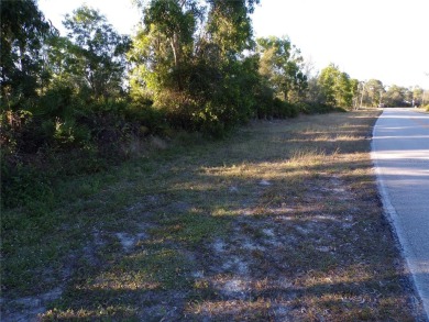 This lot and the adjoining lot are both availible making this on Seminole Lakes Country Club in Florida - for sale on GolfHomes.com, golf home, golf lot