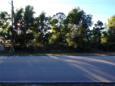 This lot and the adjoining lot are both availible making this on Seminole Lakes Country Club in Florida - for sale on GolfHomes.com, golf home, golf lot