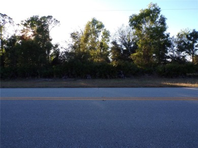 This lot and the adjoining lot are both availible making this on Seminole Lakes Country Club in Florida - for sale on GolfHomes.com, golf home, golf lot