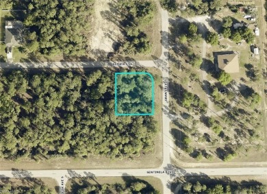 **OVERSIZED (.32 acres), CORNER LOT** This beautiful residential on Mirror Lakes Golf Club in Florida - for sale on GolfHomes.com, golf home, golf lot