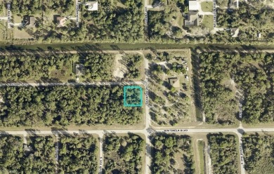 **OVERSIZED (.32 acres), CORNER LOT** This beautiful residential on Mirror Lakes Golf Club in Florida - for sale on GolfHomes.com, golf home, golf lot