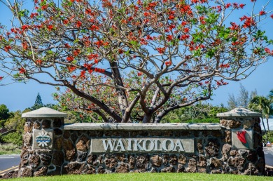 Impeccably maintained and thoughtfully upgraded, this 2-bedroom on Waikoloa Village Golf Club in Hawaii - for sale on GolfHomes.com, golf home, golf lot