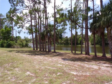 This lot and the adjoining lot are both availible making this on Seminole Lakes Country Club in Florida - for sale on GolfHomes.com, golf home, golf lot