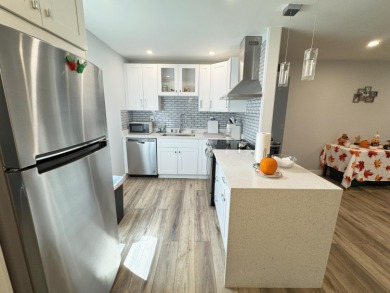 **BE ADVISED - TENANT OCCUPIED - LEASE EXPIRES 3/31/26. Monthly on Kings Point Golf -Flanders Way in Florida - for sale on GolfHomes.com, golf home, golf lot