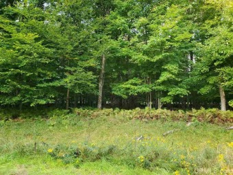 Located near the 13th Tee and Fairway, this wooded lot can be on Indian Lake Golf and Country Club in Michigan - for sale on GolfHomes.com, golf home, golf lot
