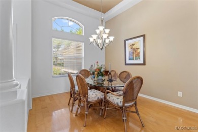 Experience the best of golf course living in this beautifully on Skyview At Terra Vista Golf and Country Club in Florida - for sale on GolfHomes.com, golf home, golf lot