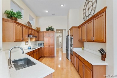Experience the best of golf course living in this beautifully on Skyview At Terra Vista Golf and Country Club in Florida - for sale on GolfHomes.com, golf home, golf lot