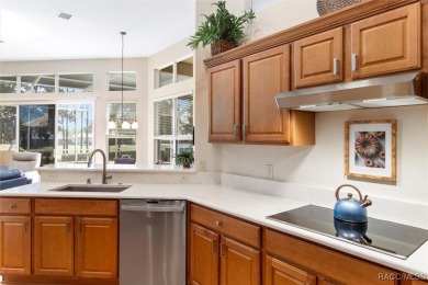 Experience the best of golf course living in this beautifully on Skyview At Terra Vista Golf and Country Club in Florida - for sale on GolfHomes.com, golf home, golf lot
