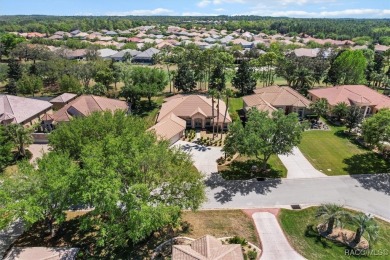Experience the best of golf course living in this beautifully on Skyview At Terra Vista Golf and Country Club in Florida - for sale on GolfHomes.com, golf home, golf lot