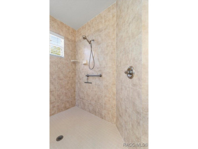 Experience the best of golf course living in this beautifully on Skyview At Terra Vista Golf and Country Club in Florida - for sale on GolfHomes.com, golf home, golf lot