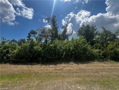 This residential lot, situated in South Gulf Cove, offers City on Rotonda Golf and Country Club - Long Marsh  in Florida - for sale on GolfHomes.com, golf home, golf lot
