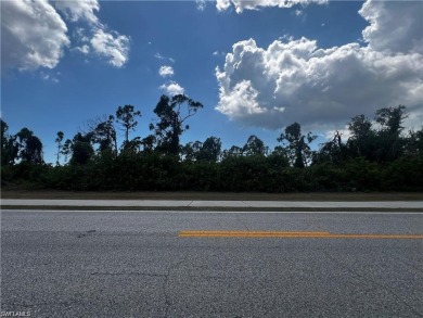 This residential lot, situated in South Gulf Cove, offers City on Rotonda Golf and Country Club - Long Marsh  in Florida - for sale on GolfHomes.com, golf home, golf lot