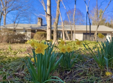 Welcome to 104 Pinehurst Lane in the heart of Signal Mountain -- on  in Tennessee - for sale on GolfHomes.com, golf home, golf lot