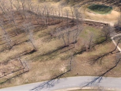 TREAT YOURSELF TO A BACKYARD THAT DOUBLES AS A PLAYGROUND! on The Course At Eagle Mountain in Arkansas - for sale on GolfHomes.com, golf home, golf lot
