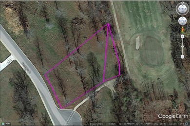 TREAT YOURSELF TO A BACKYARD THAT DOUBLES AS A PLAYGROUND! on The Course At Eagle Mountain in Arkansas - for sale on GolfHomes.com, golf home, golf lot