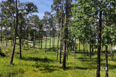 THIS VIEW!! Enjoy your sunrise and sunset sitting on your on Steelwood Country Club in Alabama - for sale on GolfHomes.com, golf home, golf lot