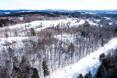 Located on a beautiful and quiet street with newly developed on Hermitage Club Golf Course in Vermont - for sale on GolfHomes.com, golf home, golf lot