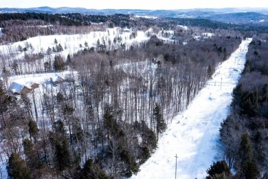 Located on a beautiful and quiet street with newly developed on Hermitage Club Golf Course in Vermont - for sale on GolfHomes.com, golf home, golf lot