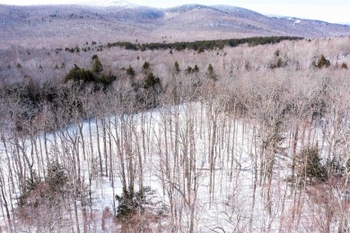 Located on a beautiful and quiet street with newly developed on Hermitage Club Golf Course in Vermont - for sale on GolfHomes.com, golf home, golf lot