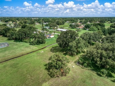 Welcome to Spring Lake, one of Highlands County's most charming on Spring Lake Golf Resort in Florida - for sale on GolfHomes.com, golf home, golf lot