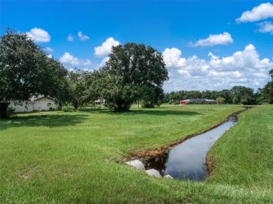 Welcome to Spring Lake, one of Highlands County's most charming on Spring Lake Golf Resort in Florida - for sale on GolfHomes.com, golf home, golf lot