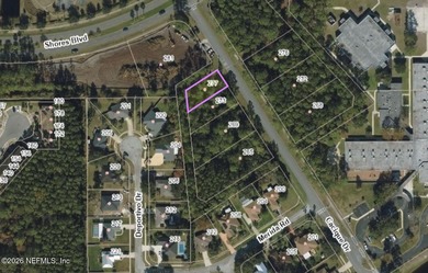 Build the home of your dreams in the incredible established on St. Augustine Shores Golf Club in Florida - for sale on GolfHomes.com, golf home, golf lot