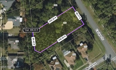 Build the home of your dreams in the incredible established on St. Augustine Shores Golf Club in Florida - for sale on GolfHomes.com, golf home, golf lot