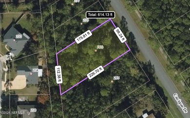 Build the home of your dreams in the incredible established on St. Augustine Shores Golf Club in Florida - for sale on GolfHomes.com, golf home, golf lot