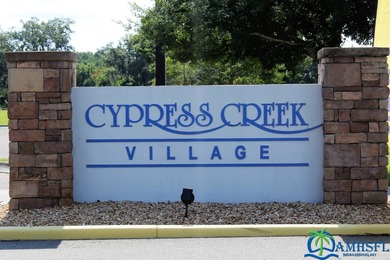 TREAT YOURSELF TO THIS GORGEOUS 2019, 1 OWNER HOME IN BEAUTIFUL on Cypresswood Golf and Country Club in Florida - for sale on GolfHomes.com, golf home, golf lot