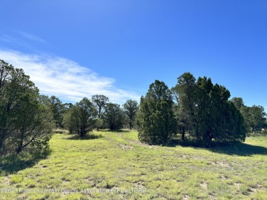 PREMIER APPROX 0.623 ACRE RAINMAKERS LOT! Great views of on Rainmakers Golf Course in New Mexico - for sale on GolfHomes.com, golf home, golf lot