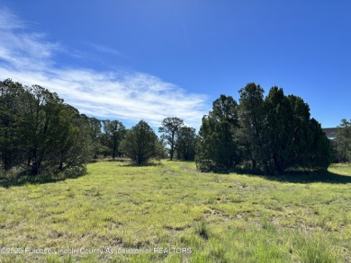 PREMIER APPROX 0.623 ACRE RAINMAKERS LOT! Great views of on Rainmakers Golf Course in New Mexico - for sale on GolfHomes.com, golf home, golf lot