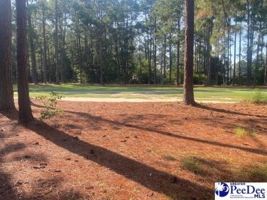 Southern Charm on the Course in Club Colony!   Nestled in the on Hartsville Country Club in South Carolina - for sale on GolfHomes.com, golf home, golf lot