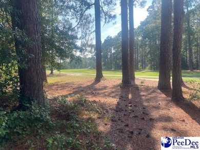 Southern Charm on the Course in Club Colony!   Nestled in the on Hartsville Country Club in South Carolina - for sale on GolfHomes.com, golf home, golf lot