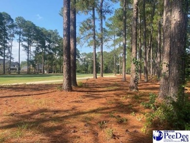 Southern Charm on the Course in Club Colony!   Nestled in the on Hartsville Country Club in South Carolina - for sale on GolfHomes.com, golf home, golf lot