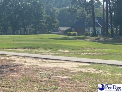Southern Charm on the Course in Club Colony!   Nestled in the on Hartsville Country Club in South Carolina - for sale on GolfHomes.com, golf home, golf lot