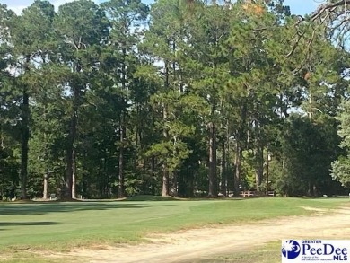 Southern Charm on the Course in Club Colony!   Nestled in the on Hartsville Country Club in South Carolina - for sale on GolfHomes.com, golf home, golf lot